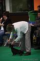 Crufts2011_2 1287